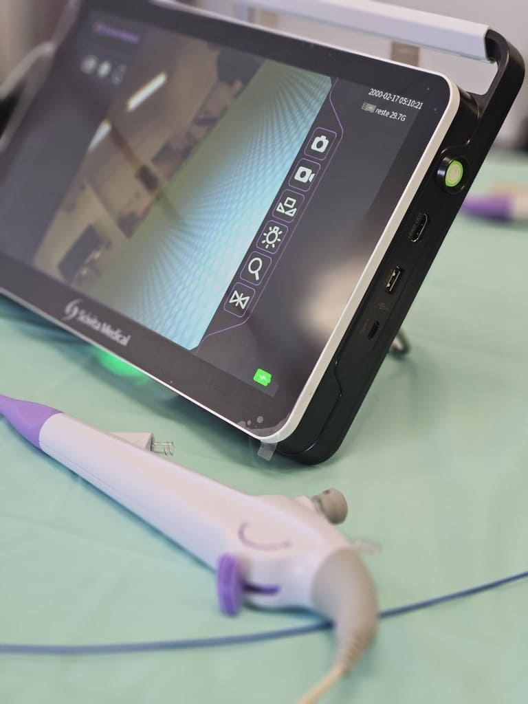endoscopie vétérinaire
